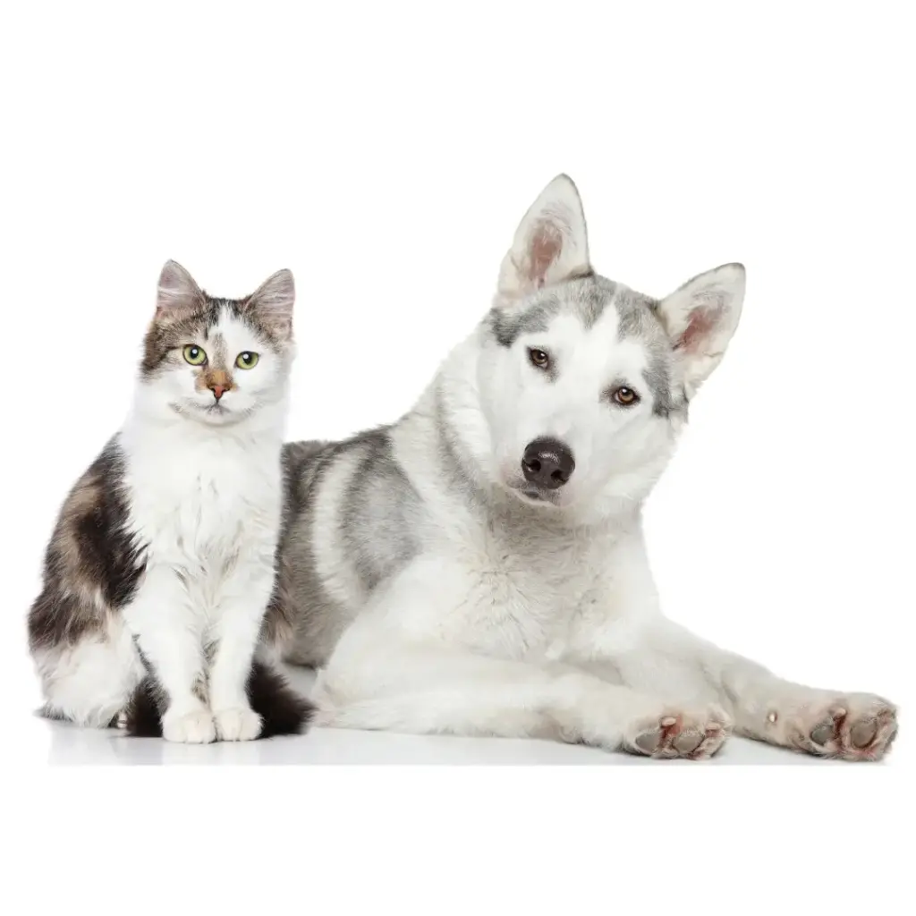 Pet Hair Removal